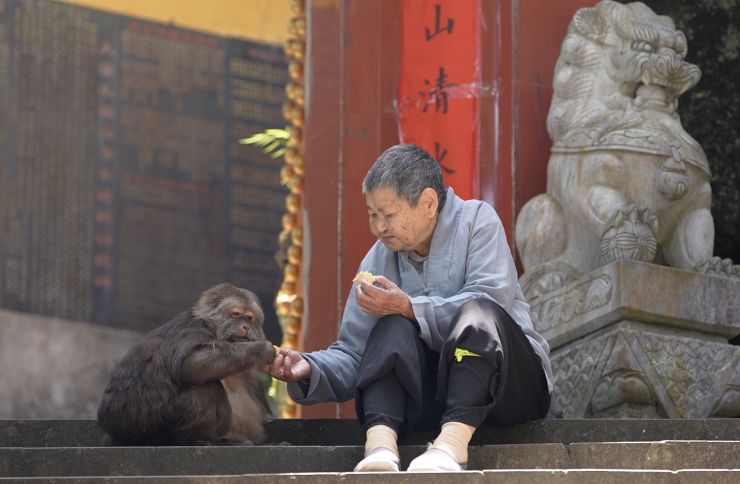 Park So-yeon, chief executive of the Coexistence of Animal Rights on Earth (CARE) outside the Seoul Central District Court in this photo taken on May 3, 2022. Newsis  