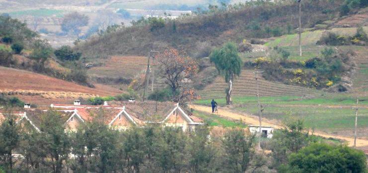 This photo taken from South Korea's border county of Ganghwa, Oct. 29, shows a North Korean walking in Kaepung county in North Korea. Yonhap